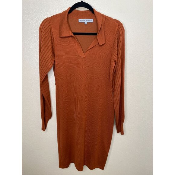 Absolutely Famous Womens Rust Dress S Ribbed Sleeve Knit Rayon long sleeve vneck - Picture 2 of 8